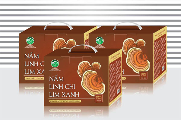Nấm Linh Chi Lim Xanh (thái lát/ nguyên tai) hộp 1kg